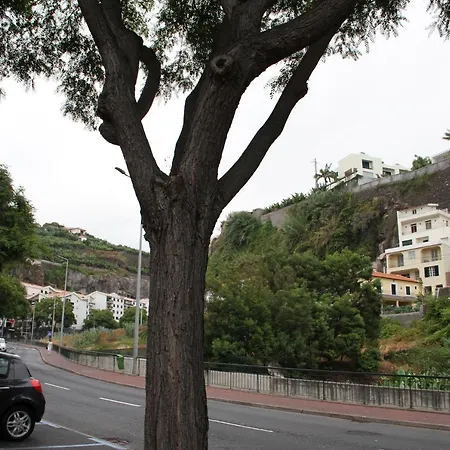 Vigario House بيت للعطل